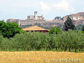 Blick nach Assisi mit der Basilica San Francesco